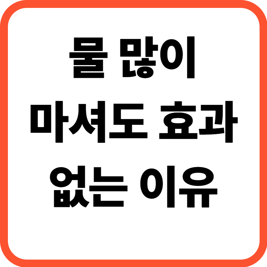 2026년 최신 수분 섭취량 하루 기준, 물 많이 마셔도 효과 없는 이유
