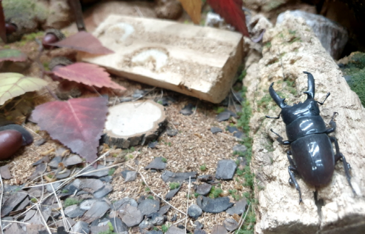 부천 자연생태공원