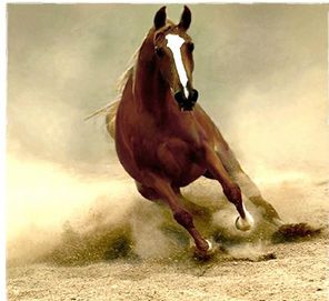 적토마 뜻과 붉은 말 실제 역사 의미 유래