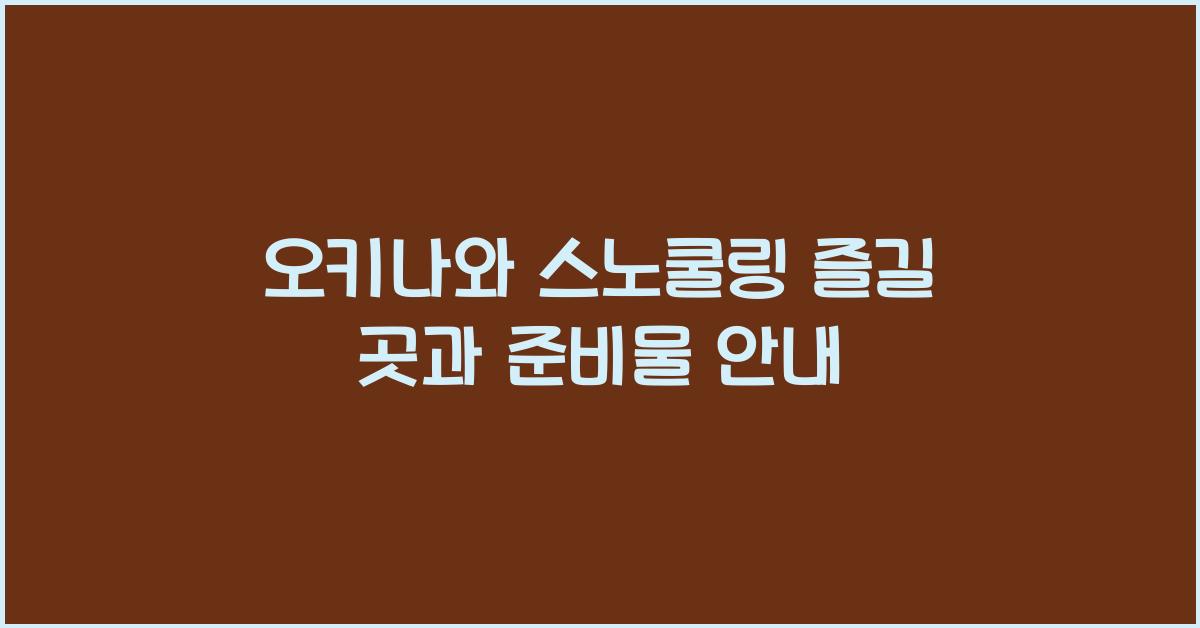 오키나와 스노쿨링