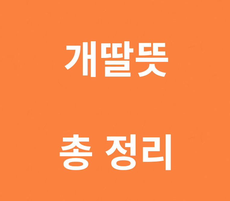 개딸뜻