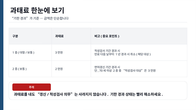 운전면허 적성검사 갱신, 과태료, 면허취소-핵심정리