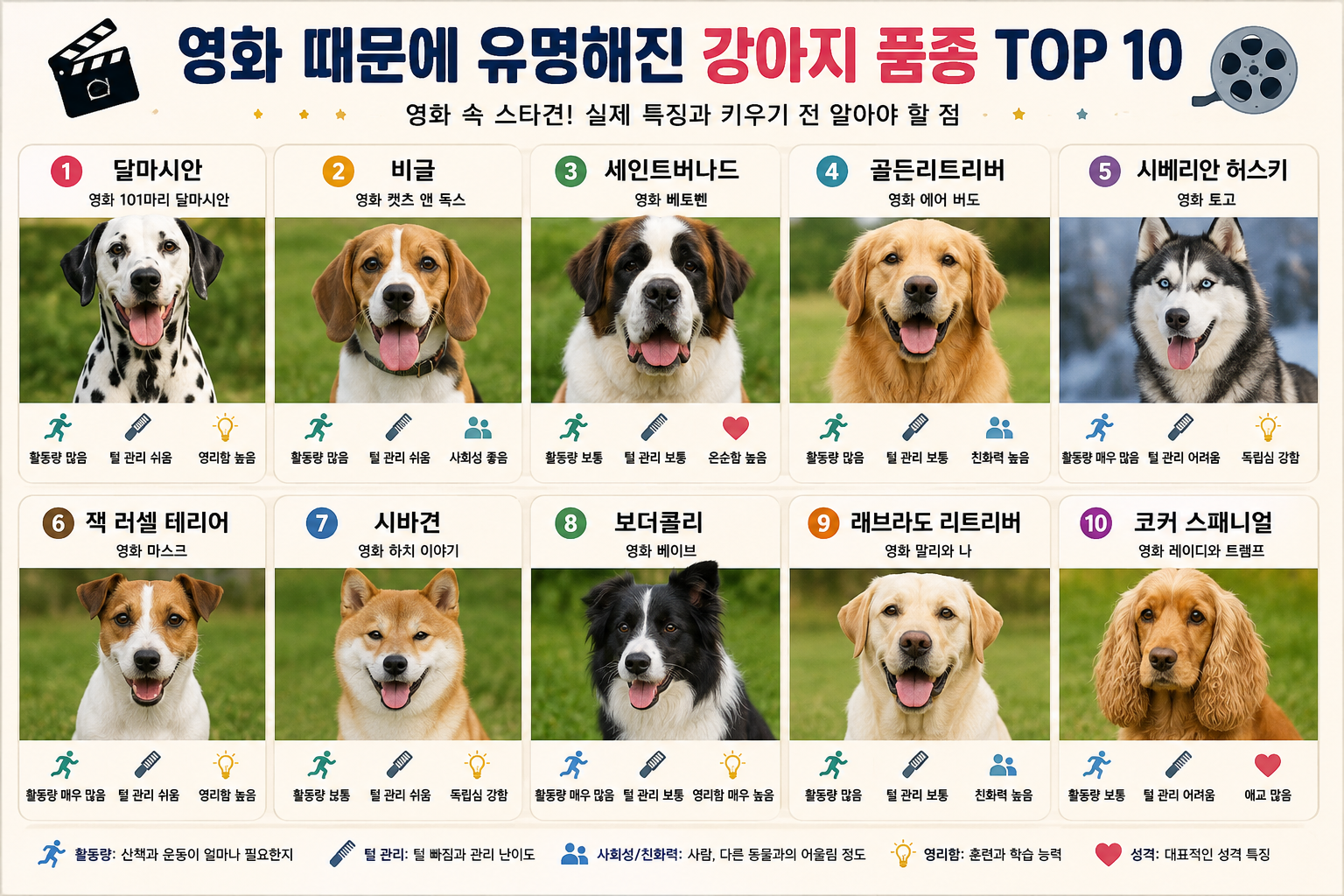 영화 때문에 유명해진 강아지 품종 TOP 10