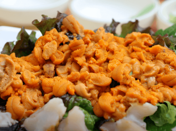 생방송투데이 자연산 멍게 한상