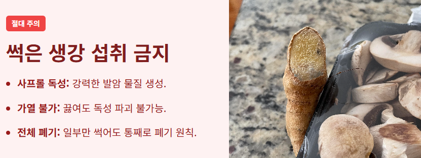 생강 효능