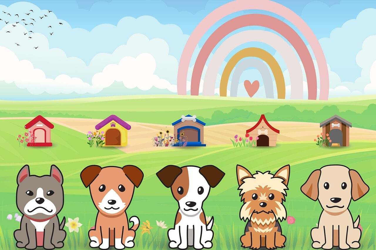 펫시터자격증, 반려동물 돌봄 전문가가 되는 첫걸음!