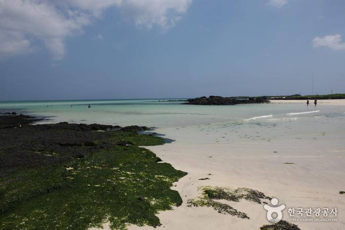 제주-김녕성세기해수욕장