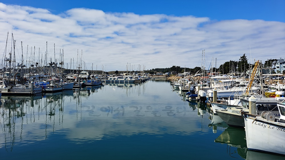 Pillar Point Harbor