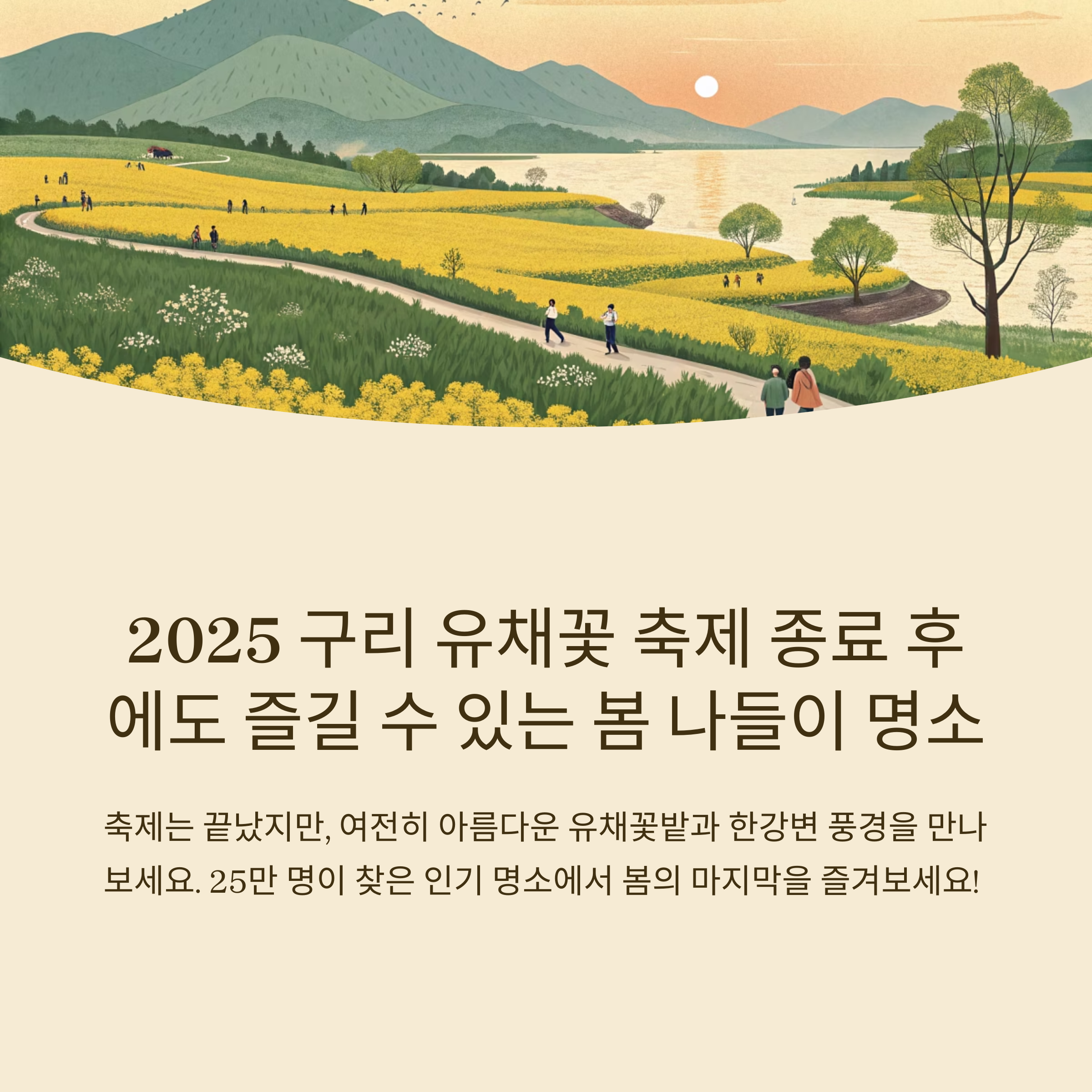 구리 유채꽃 축제, 축제 끝나도 봄 감성 가득