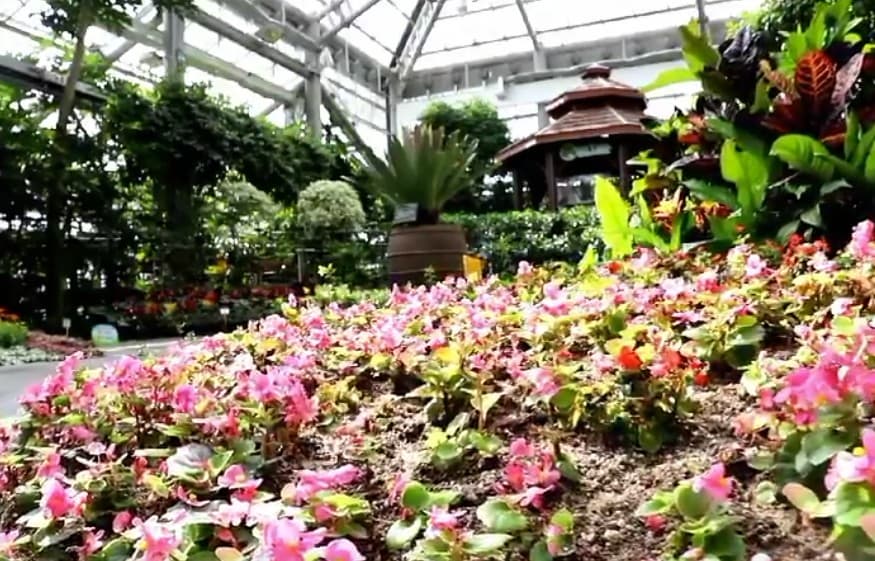 겨울 실내 수목원 추천: 서울식물원과 경주 동궁원