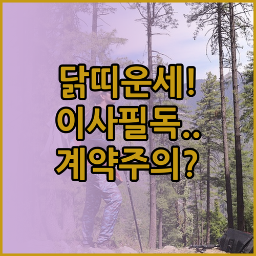 2026년 3월 1981년생 닭띠 월..