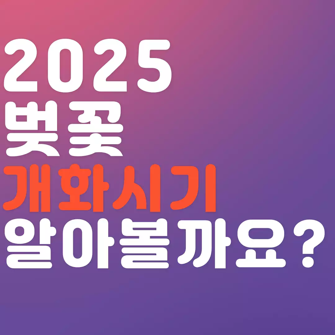 벚꽃 개화 시기