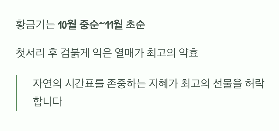 기다림의 가치를 아는 당신에게