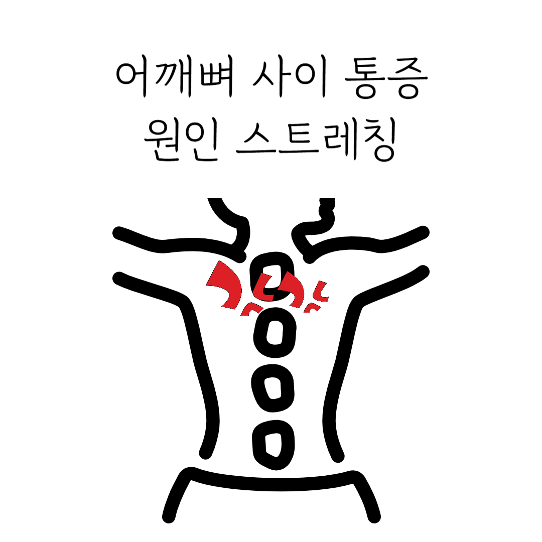 날개뼈 사이 통증