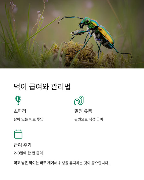먹이 급여와 사육 관리법