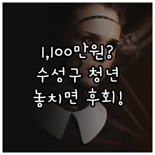 2025년 대구 수성구 자립준비청년 ..