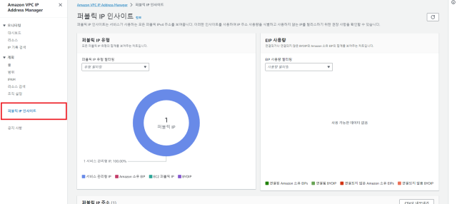 퍼블릭 IP 인사이트 화면