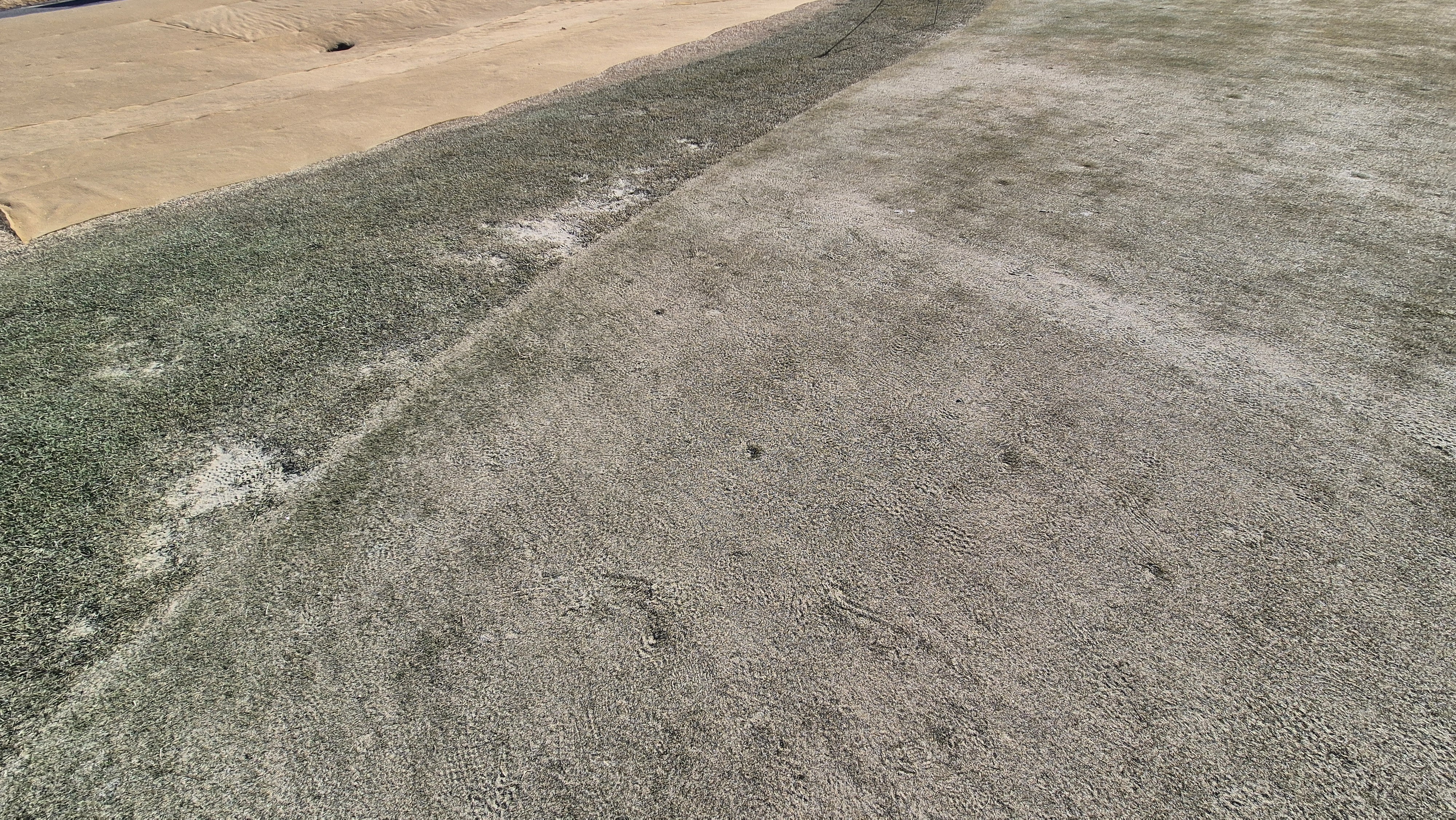 더크로스비gc 아리아-샬롯 코스 그린관리상태