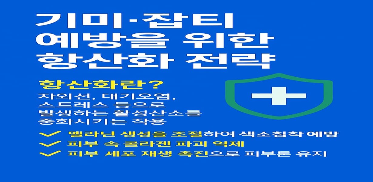 “기미·잡티 예방을 위한 항산화 전략을 설명한 인포그래픽 이미지”