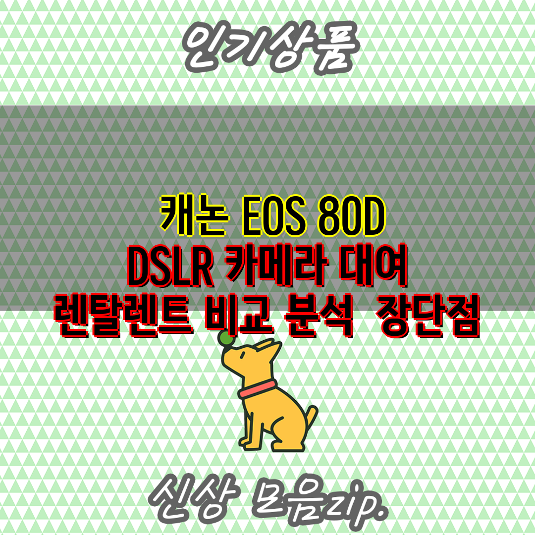 캐논 EOS 80D DSLR 카메라 대여 렌탈렌트 비