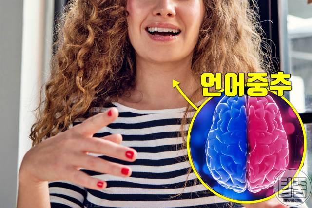 뇌에 피가 부족할때 증상 피가부족한증상 뇌혈류장애 발음 실어증