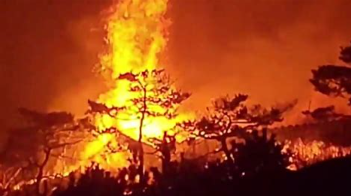 소방 헬기 진화작업