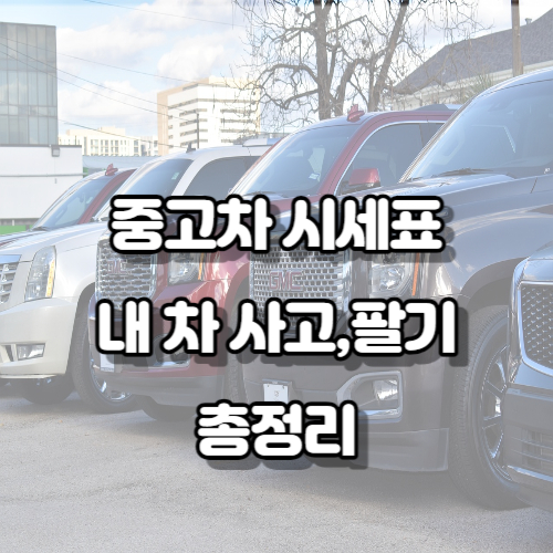 중고차 시세표 가격확인