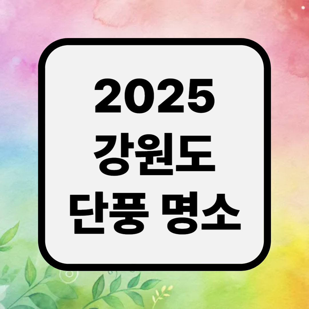 강원도 가을 축제 일정표