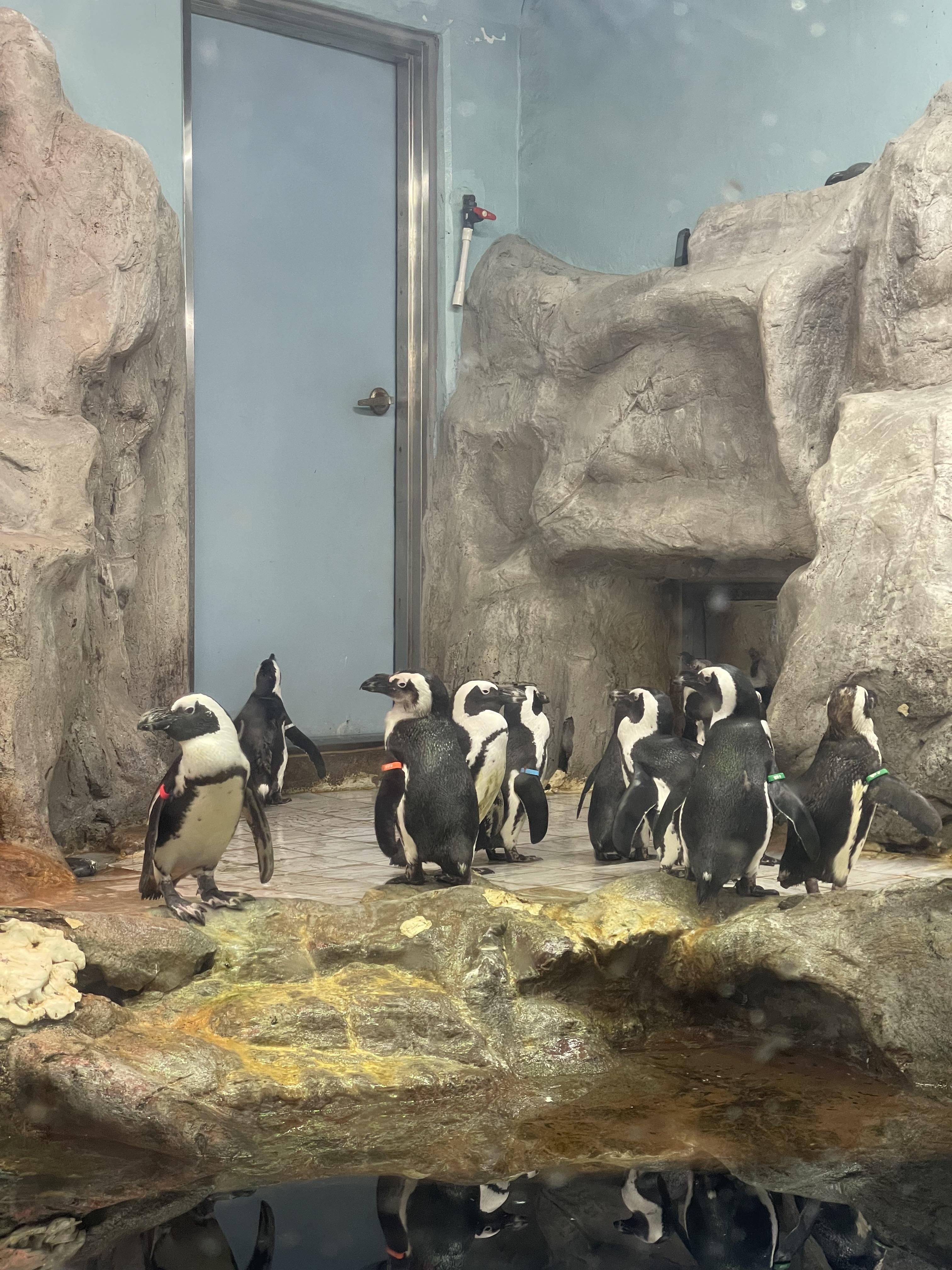 여수 아쿠아플라넷