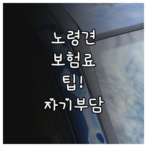 노령견 보험 자기부담금과 보장 비율 ..