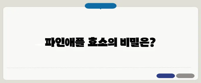 파인애플효소 정리 처음 접하는 분들을 위해