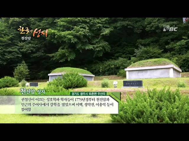 천진암 흰민들레 백양자연관찰로 괭이눈 개화_5