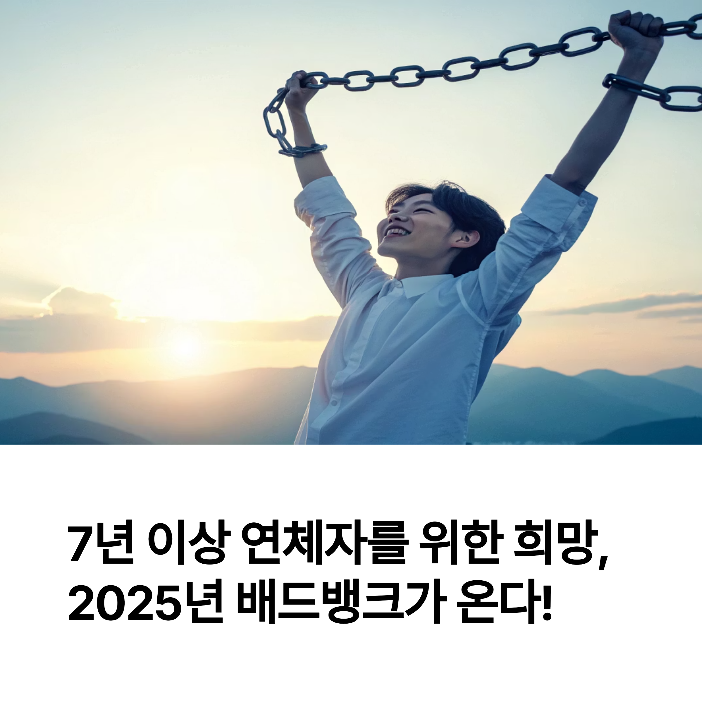 2025년 배드뱅크 전면 가동