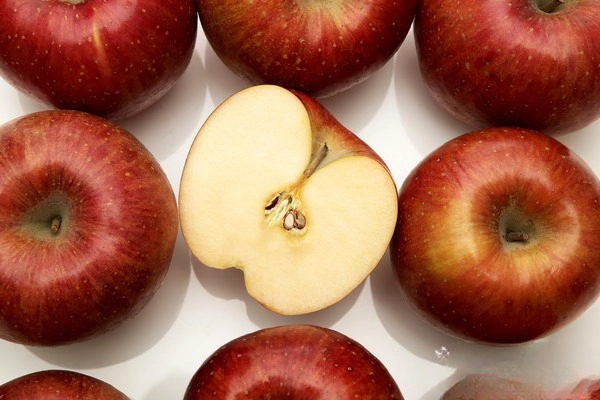 다이어트 변비 해결 좋은 음식 원인 다이어트 식단 식이섬유 함량