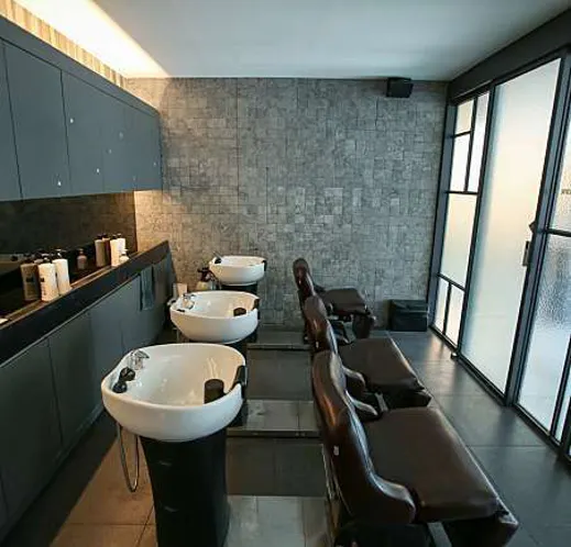 살롱드미감 두정점