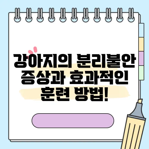 강아지의 분리불안 증상과 효과적인 훈련 방법!