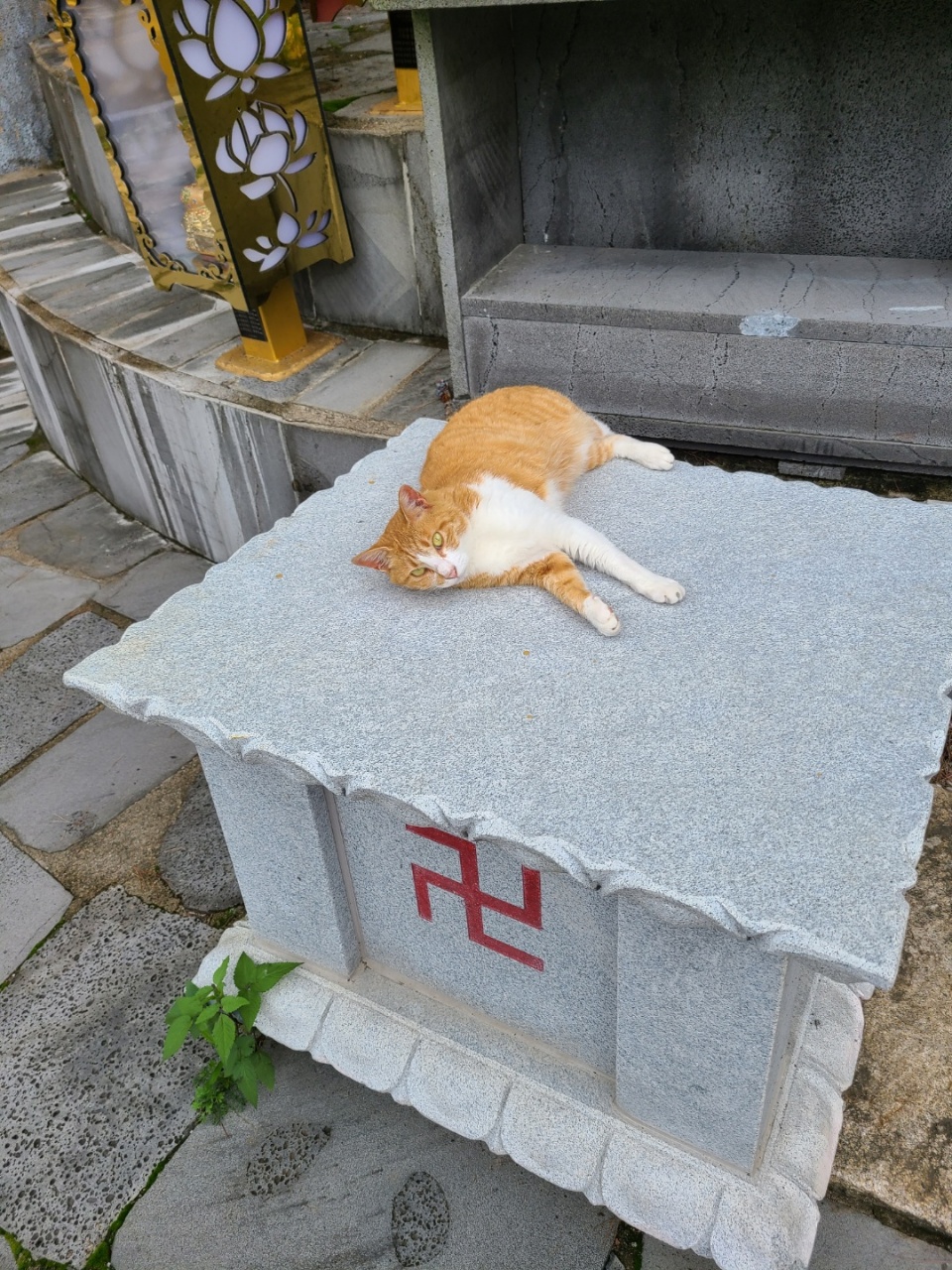 송운사