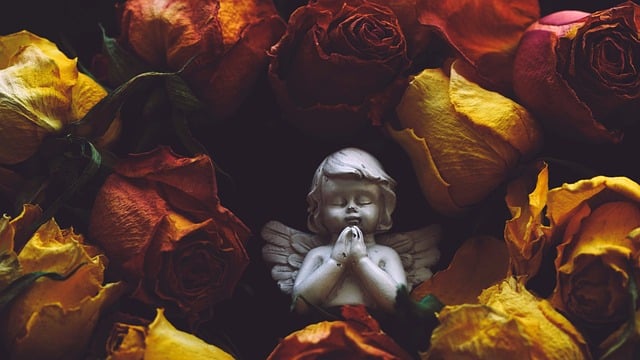 국민연금 유족연금 수급조건