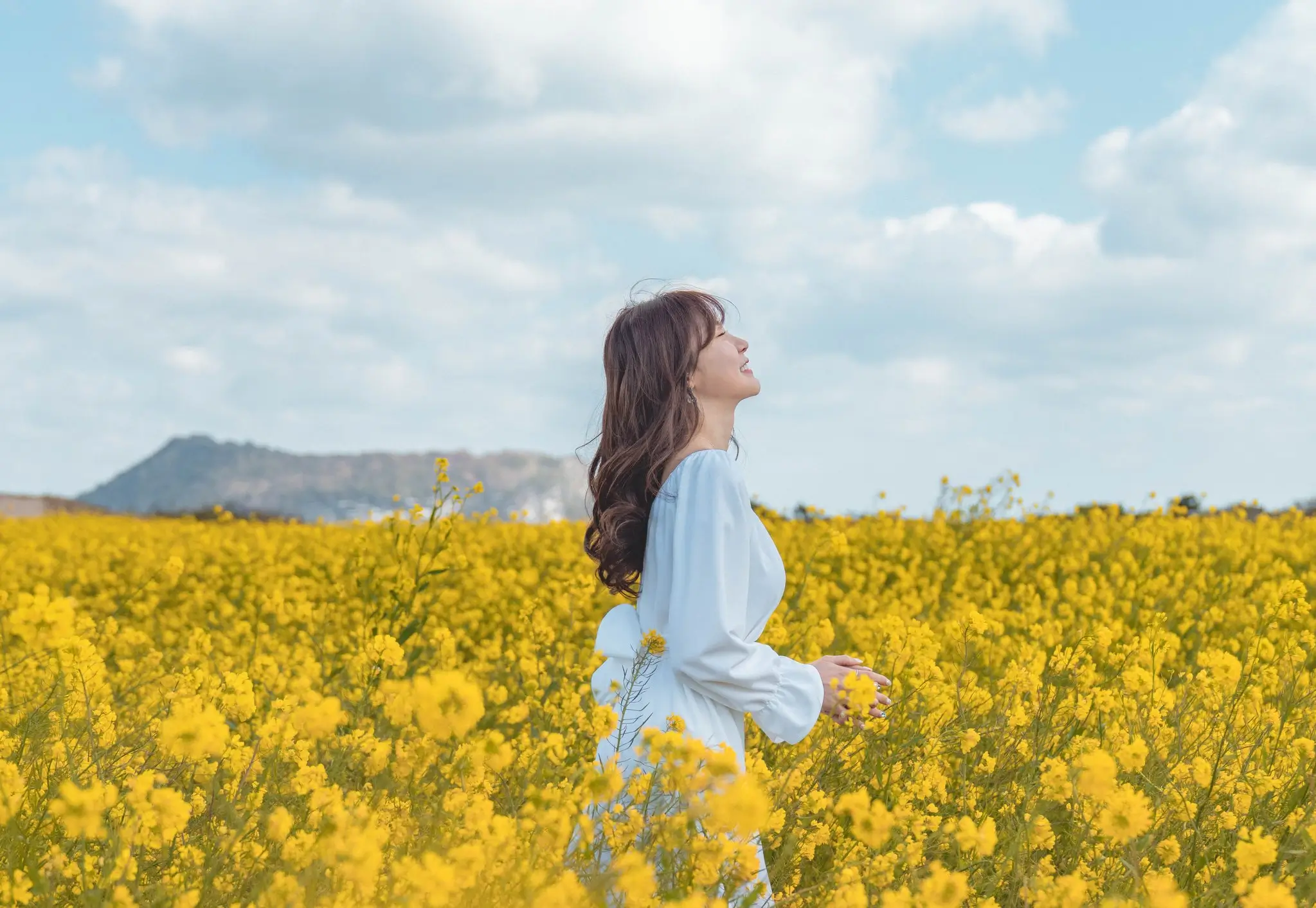 제주 유채꽃밭 인생 사진 명소