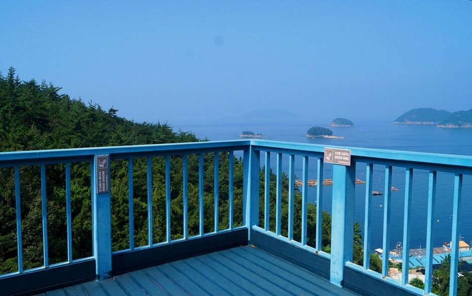 남해안 반려견 겨울 나들이 명소, 강아지와 함께 걷기 좋은 바다 산책 코스