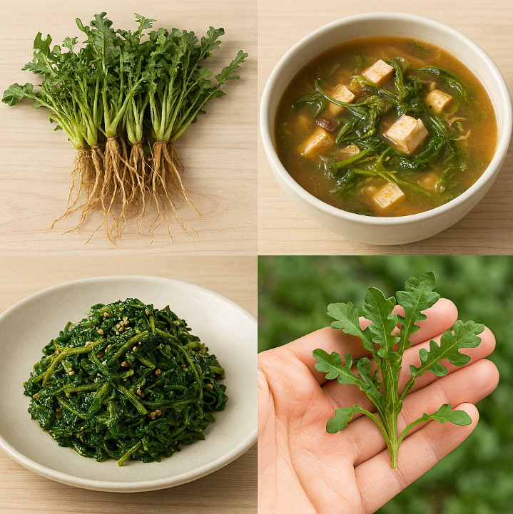 봄철 냉이, 냉이국, 냉이나물 사진