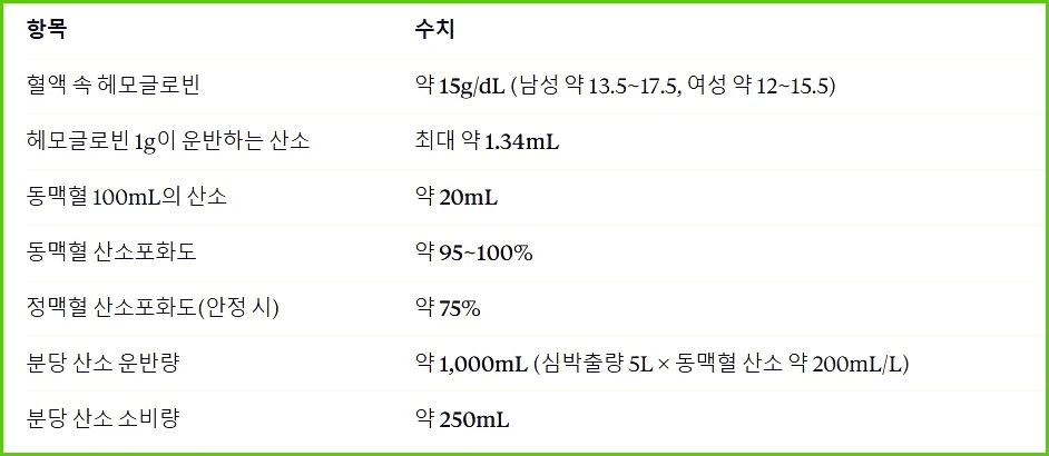 산소 운반과 헤모글로빈 @화면캡처