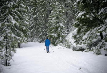 제주도 비행기표 저럼하게 구입하기