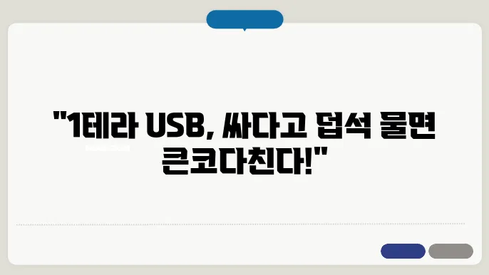 usb 메모리 1테라 구매시 주의사항 싸다고 좋은게 아니다!