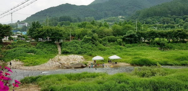 캠핑장 바로앞계곡