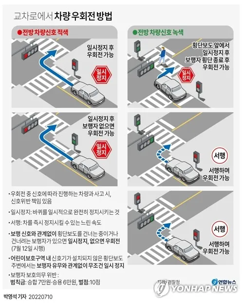 우회전 방법과 일시정지 방법 신호위반 단속 우회전시 횡단보도 파란불 관련 정리_8