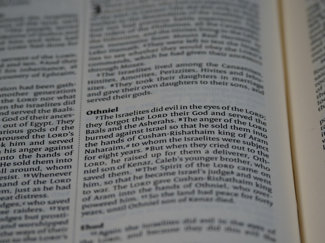 Sublease. 이 문서에서 가장 중요한 명사로, 전대차를 뜻하는 영어 단어입니다.