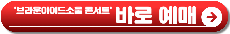 브라운아이드소울 콘서트