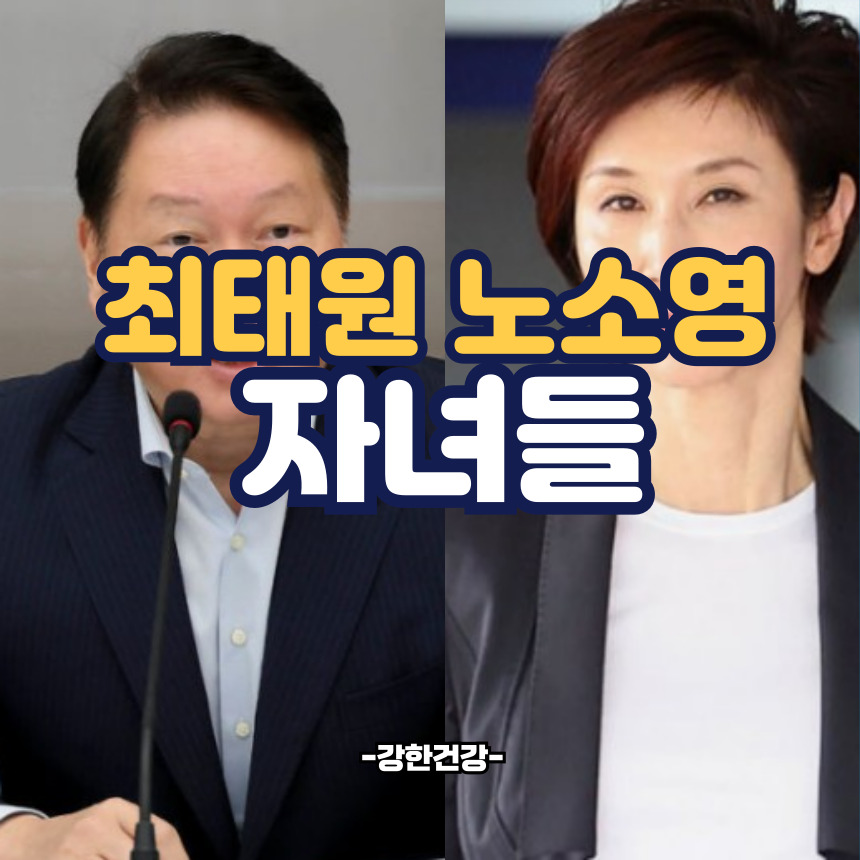 최태원 노소영 자녀