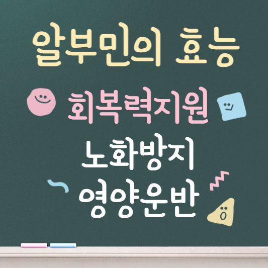 알부민의 효능